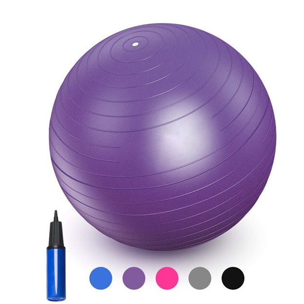 Exercise Ball With Free Air Pump
